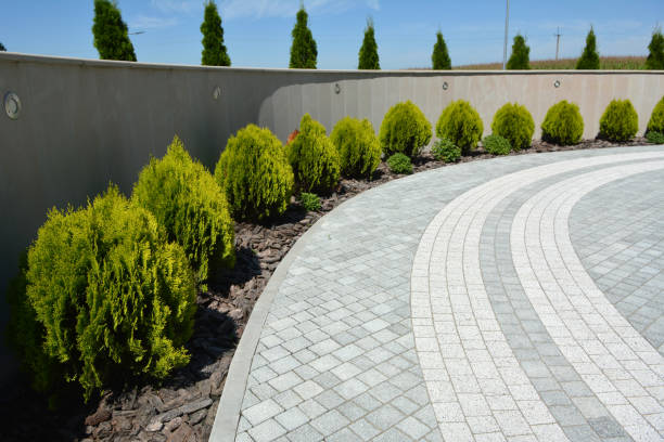 Professional Driveway Pavers in Afton, WY